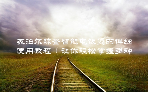 苏泊尔球釜智能电饭煲的详细使用教程（让你轻松掌握多种烹饪方法）