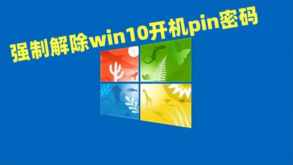强制解除win10开机pin密码怎么操作 win10忘记pin码进不了系统