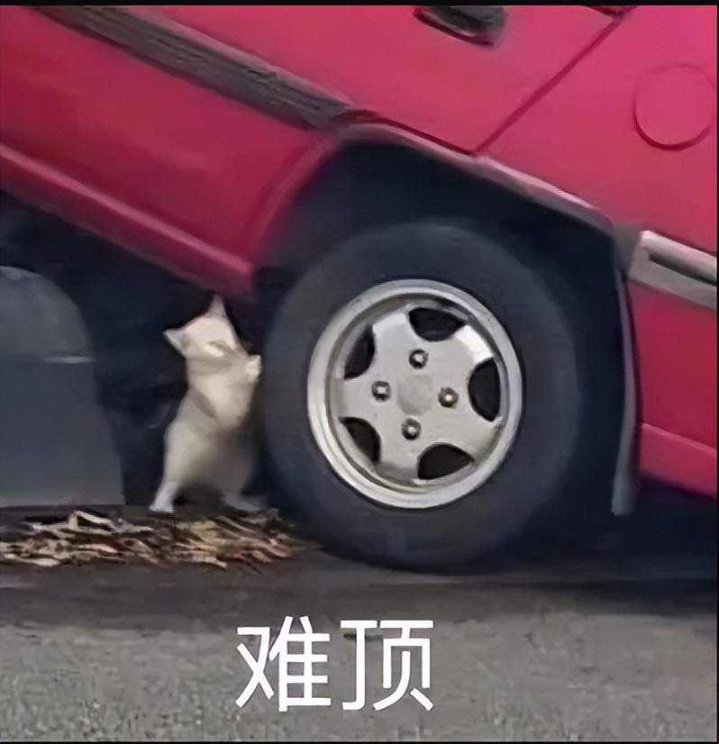 二次优化与创新,三款常用浏览器的魔改之道,上网体验更出色