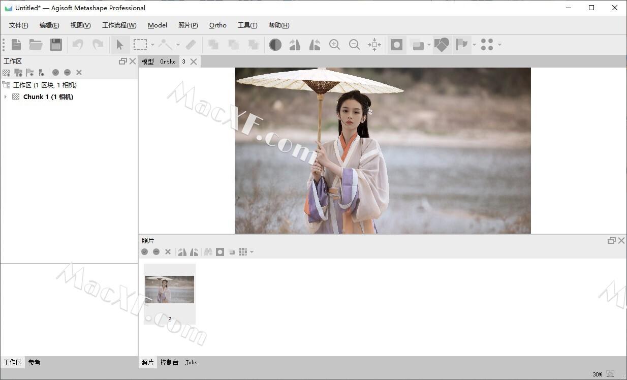 Agisoft Metashape Professional (3D建模软件)v2.0.2