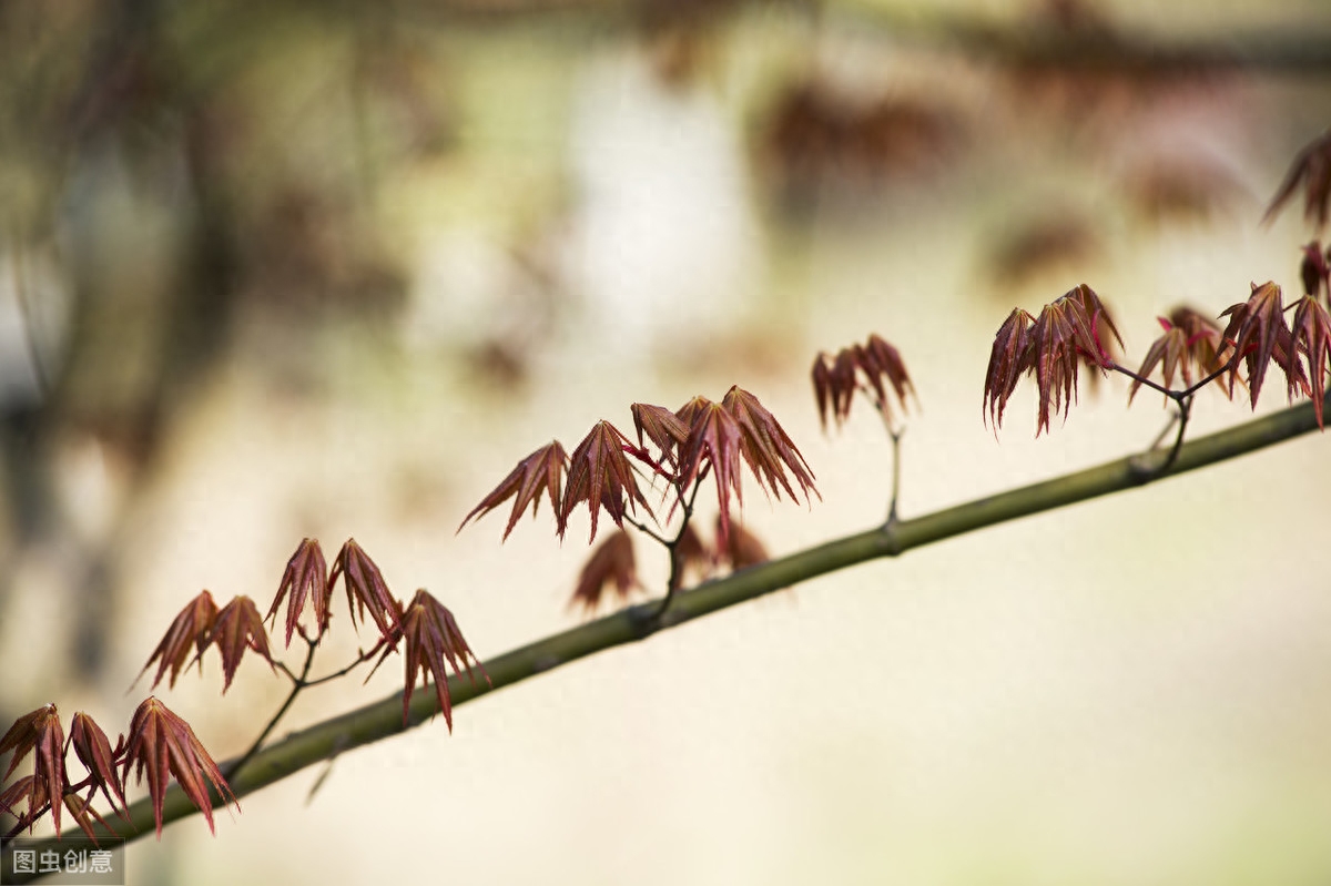 诗词作者合称大全