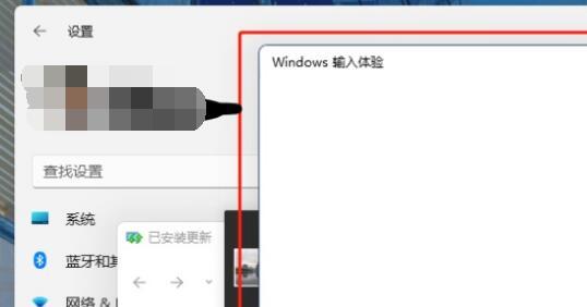 win11怎么禁用输入法（win11禁用shift切换输入法）
