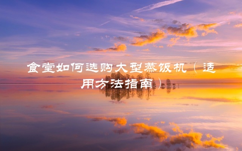 食堂如何选购大型蒸饭机（适用方法指南）