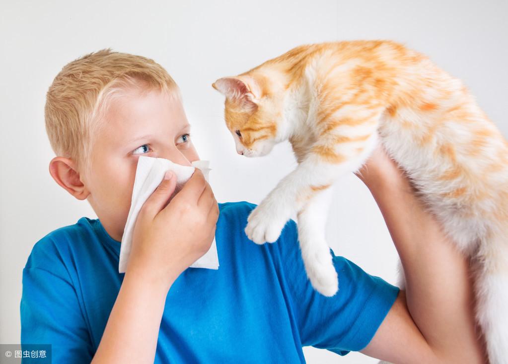 15秒记一个单词「第98个」allergic