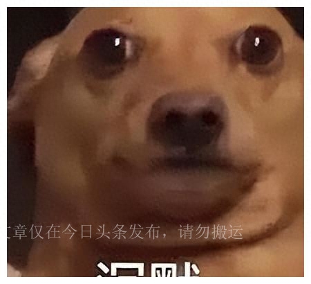 微信、小米双双翻车，还能不能好好用了？