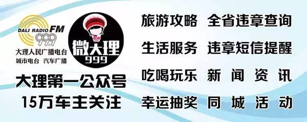 大理的车友们记住这些,新手也不怕违规被扣分啦!