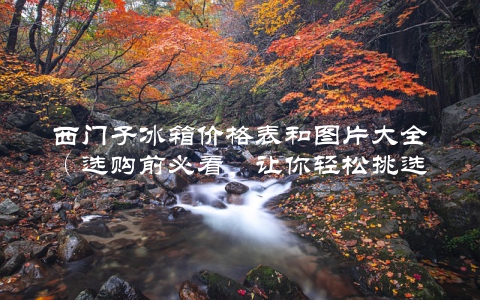 西门子冰箱价格表和图片大全（选购前必看，让你轻松挑选心仪的冰箱）