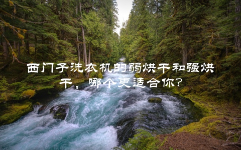 西门子洗衣机的弱烘干和强烘干，哪个更适合你？