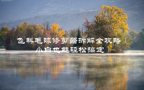 飞科毛球修剪器拆解全攻略（小白也能轻松搞定）