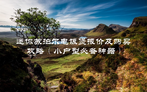 迷你苏泊尔电饭煲报价及购买攻略（小户型必备神器）