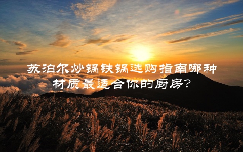 苏泊尔炒锅铁锅选购指南哪种材质最适合你的厨房？