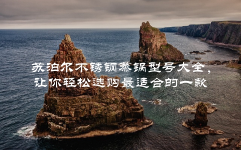 苏泊尔不锈钢蒸锅型号大全，让你轻松选购最适合的一款