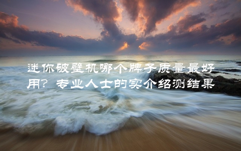 迷你破壁机哪个牌子质量最好用？专业人士的实介绍测结果