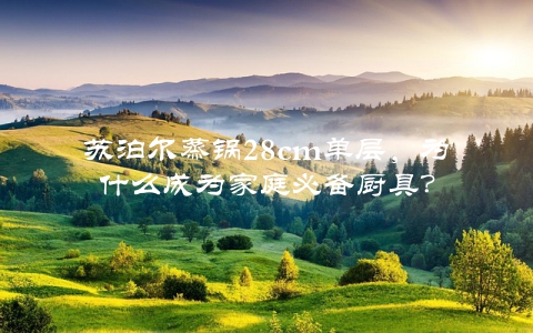 苏泊尔蒸锅28cm单层，为什么成为家庭必备厨具？