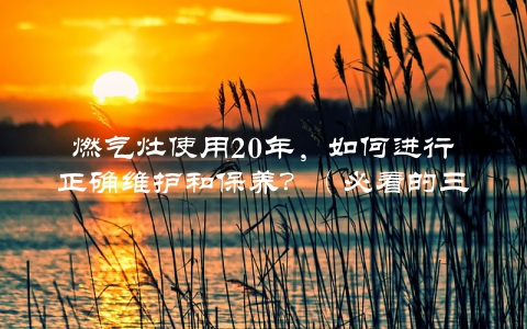 燃气灶使用20年，如何进行正确维护和保养？（必看的三个方法）