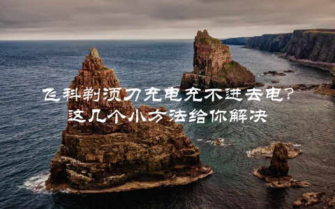 飞科剃须刀充电充不进去电？这几个小方法给你解决