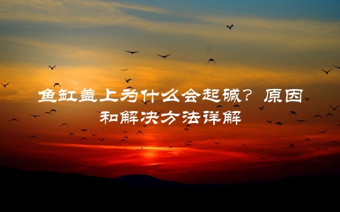 鱼缸盖上为什么会起碱？原因和解决方法详解