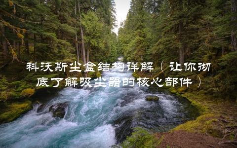 科沃斯尘盒结构详解（让你彻底了解吸尘器的核心部件）