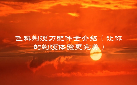 飞科剃须刀配件全介绍（让你的剃须体验更完美）