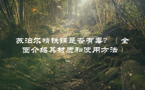 苏泊尔精铁锅是否有毒？（全面介绍其材质和使用方法）