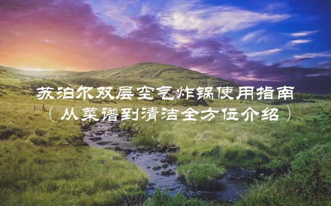 苏泊尔双层空气炸锅使用指南（从菜谱到清洁全方位介绍）
