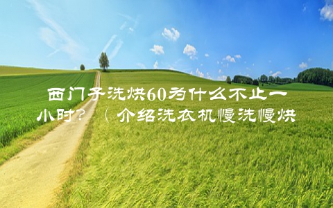 西门子洗烘60为什么不止一小时？（介绍洗衣机慢洗慢烘背后的原因）