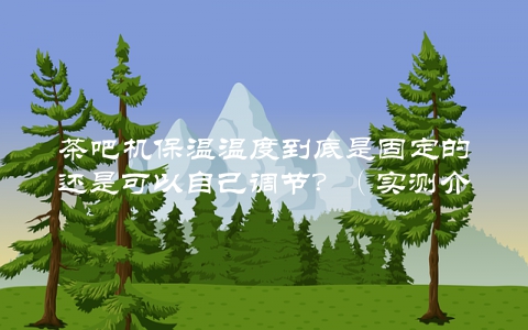 茶吧机保温温度到底是固定的还是可以自己调节？（实测介绍）