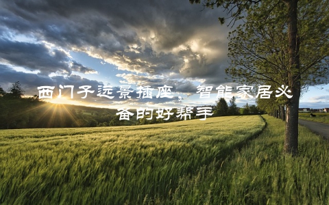 西门子远景插座，智能家居必备的好帮手
