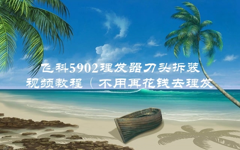 飞科5902理发器刀头拆装视频教程（不用再花钱去理发店了）