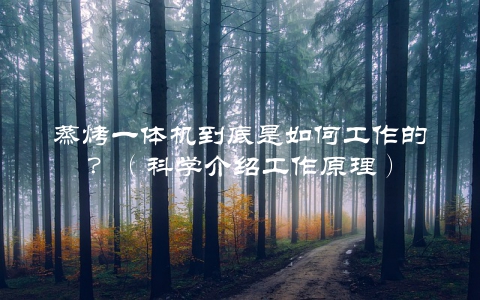 蒸烤一体机到底是如何工作的？（科学介绍工作原理）