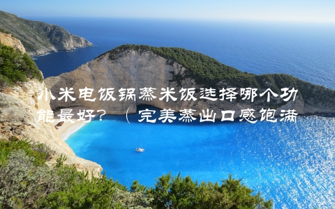 小米电饭锅蒸米饭选择哪个功能最好？（完美蒸出口感饱满的方法）