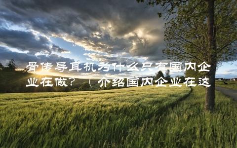 骨传导耳机为什么只有国内企业在做？（介绍国内企业在这一领域的优势）