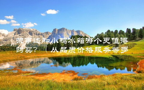 荣事达和小鸭冰箱哪个更值得购买？（从品质价格服务等多角度分析）