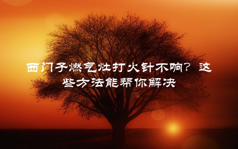 西门子燃气灶打火针不响？这些方法能帮你解决