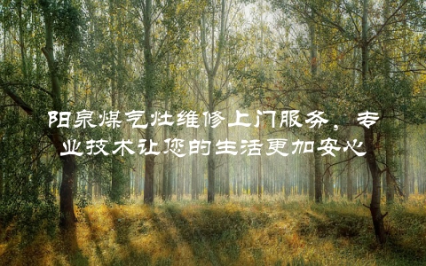 阳泉煤气灶维修上门服务，专业技术让您的生活更加安心