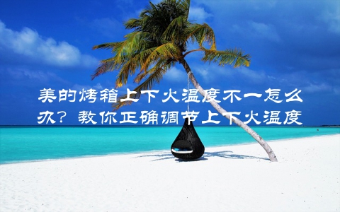 美的烤箱上下火温度不一怎么办？教你正确调节上下火温度差