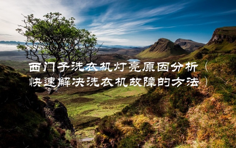 西门子洗衣机灯亮原因分析（快速解决洗衣机故障的方法）