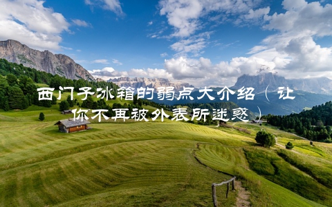 西门子冰箱的弱点大介绍（让你不再被外表所迷惑）
