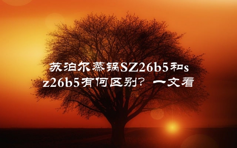苏泊尔蒸锅SZ26b5和sz26b5有何区别？一文看懂选择购买指南