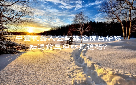 中国机器人公司排名榜出炉你知道前三甲都是谁吗？