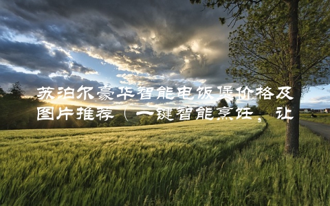 苏泊尔豪华智能电饭煲价格及图片推荐（一键智能烹饪，让你的餐桌更美味）