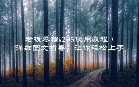 老板蒸箱s205使用教程（详细图文指导，让你轻松上手）