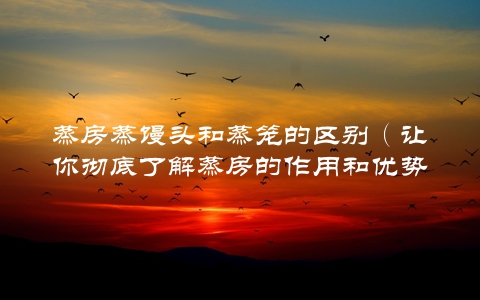 蒸房蒸馒头和蒸笼的区别（让你彻底了解蒸房的作用和优势）