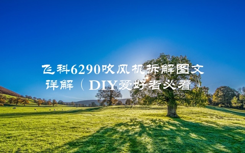 飞科6290吹风机拆解图文详解（DIY爱好者必看）