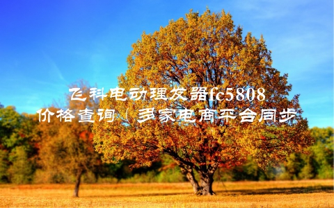 飞科电动理发器fc5808价格查询（多家电商平台同步更新）