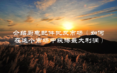 介绍厨电配件批发市场（如何在这个市场中获得最大利润）