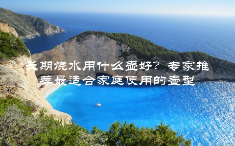 长期烧水用什么壶好？专家推荐最适合家庭使用的壶型