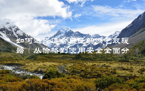 如何选择适合自己的燃气取暖器（从价格到使用安全全面分析）