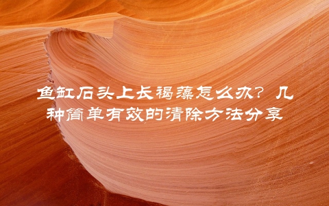 鱼缸石头上长褐藻怎么办？几种简单有效的清除方法分享