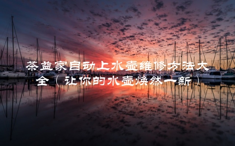 茶益家自动上水壶维修方法大全（让你的水壶焕然一新）